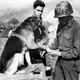 Illustration for article titled The Loyal Dogs Who Served Alongside Human Soldiers In War